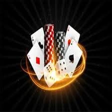 eh333